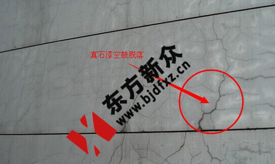 北京东方新众真石漆公司